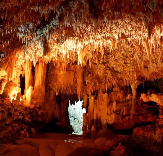 Espeleología Nivel I