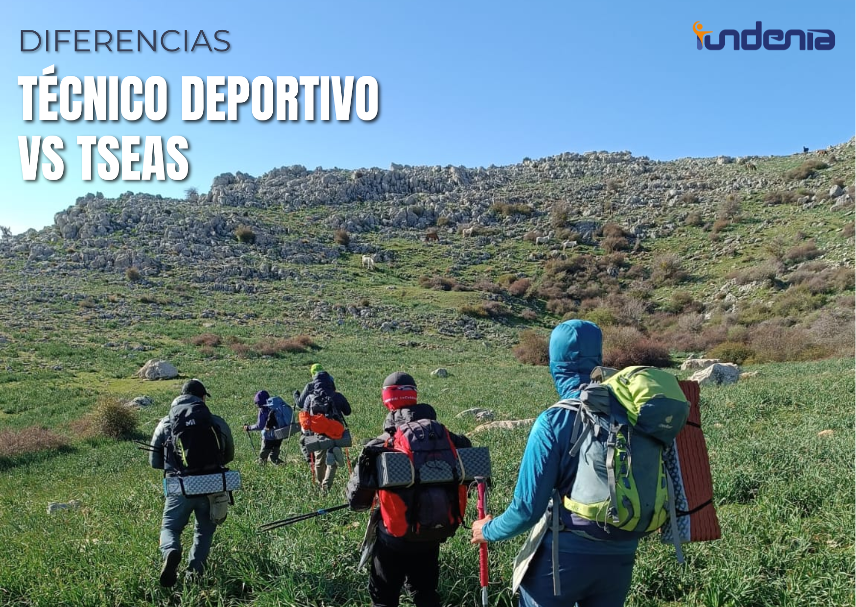 Diferencias entre Técnico Deportivo, Técnico Deportivo Superior y TSEAS: guía completa